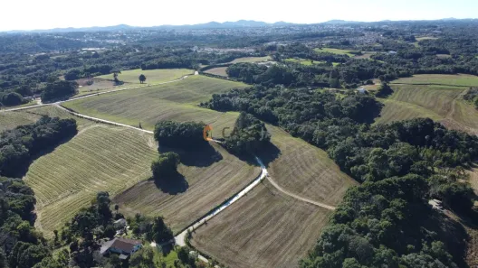Lote/Terreno com 1 Quarto à venda, 14671m² no Botiatuva, Campo Largo