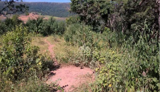 Lote/Terreno à venda, 60000m² no Guapé, Guapé