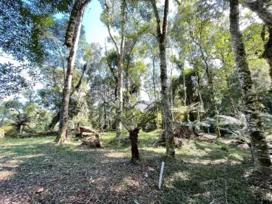 Lote/Terreno à venda, 1062m² no Mato Queimado, Gramado