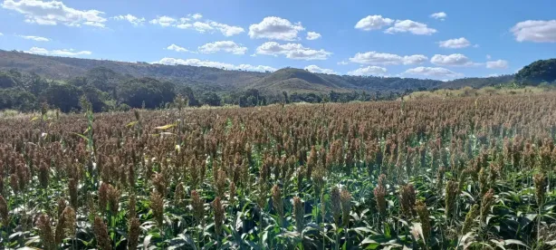 Fazenda/Sítio com 3 Quartos à venda, 1130000m² no Planaltina, Brasília