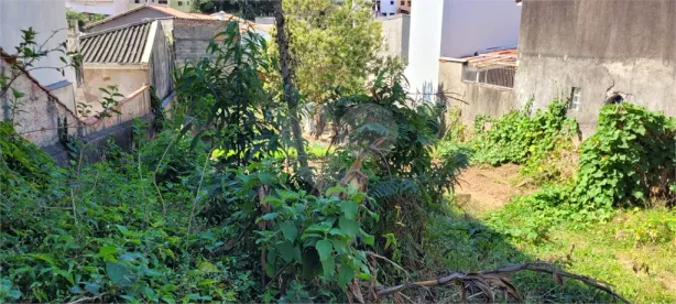 Lote/Terreno à venda, 377m² no Jardim Franca, São Paulo