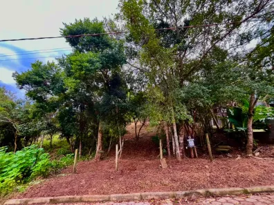 Lote/Terreno à venda, 462m² no Ambrósio, Garopaba