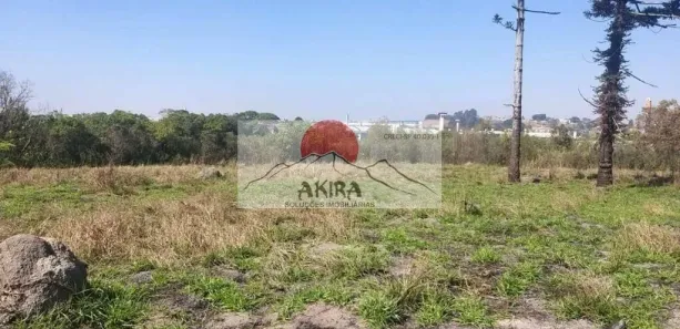 Lote/Terreno à venda, 60000m² no Jardim do Triunfo, Guarulhos