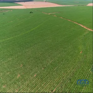 Fazenda/Sítio com 1 Quarto à venda, 9196000m² no Área Rural de Presidente Prudente, Presidente Prudente
