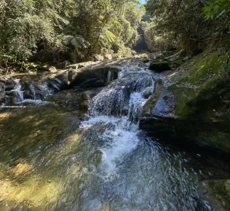 Fazenda/Sítio com 6 Quartos à venda, 2570000m² no , Silva Jardim