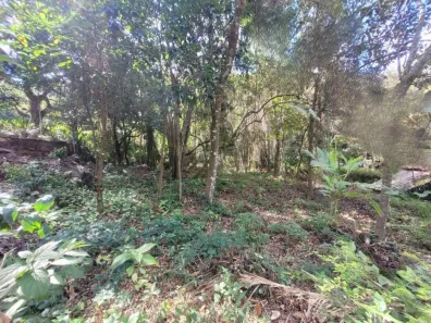 Lote/Terreno à venda, 5770m² no Itaipava, Petrópolis