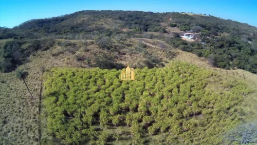 Fazenda/Sítio com 3 Quartos à venda, 250m² no Matozinhos, Matozinhos