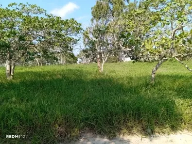 Lote/Terreno à venda, 1000m² no Cruzeiro, Gravatá