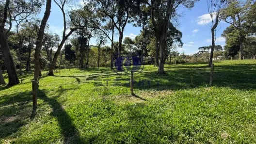 Lote/Terreno à venda, 3528m² no Santo Antônio, Campo Alegre