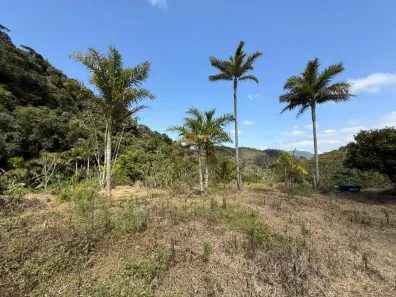 Lote/Terreno à venda, 20000m² no Vargem Grande, Teresópolis