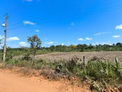 Fazenda/Sítio com 1 Quarto à venda, 1800m² no , Canutama