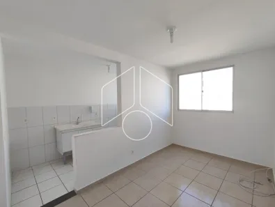 Apartamento com 2 Quartos para alugar, 20m² no Higienópolis, Marília