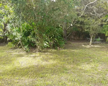 Lote/Terreno à venda, 10000m² no Cajazeiras de Abrantes (Abrantes), Camaçari