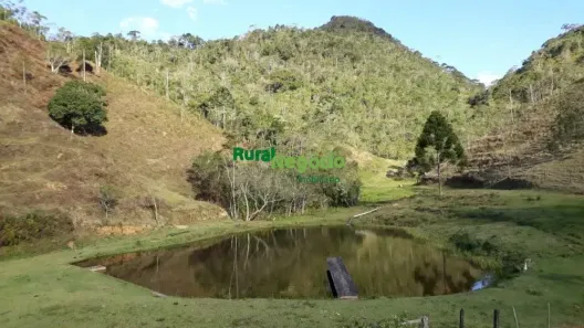 Fazenda/Sítio à venda, 220000m² no Pedra Selada, Resende