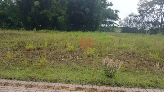 Lote/Terreno à venda, 200m² no Pompilio Gomes, Glorinha