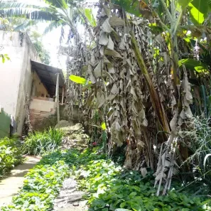 Fazenda/Sítio com 2 Quartos à venda, 2800m² no Parque Guarani, Juiz de Fora