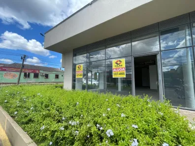 Ponto Comercial com 1 Quarto à venda, 210m² no Vila Ipiranga, Porto Alegre