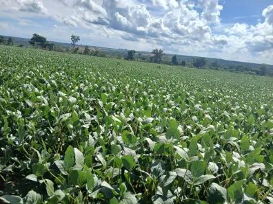 Fazenda/Sítio à venda, 120000000m² no , Cabeceiras