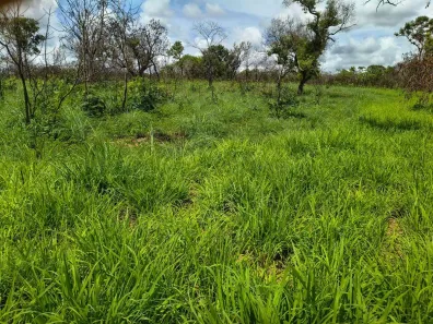 Fazenda/Sítio com 1 Quarto à venda, 2516800m² no Zona Rural, Colinas do Sul