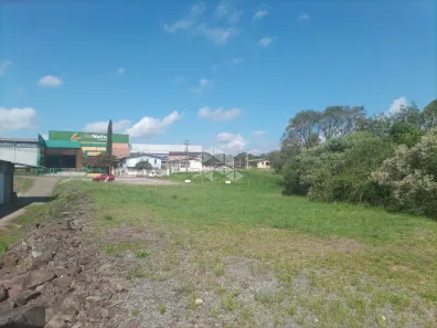 Lote/Terreno à venda, 3775m² no Tamandaré, Garibaldi