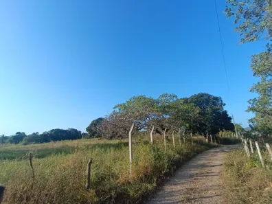 Fazenda/Sítio à venda, 12m² no , São Domingos