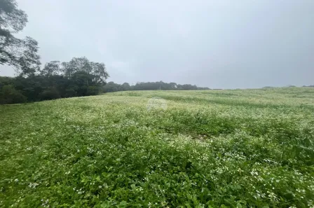 Lote/Terreno à venda, 99064m² no Área Rural de Almirante Tamandaré, Almirante Tamandaré