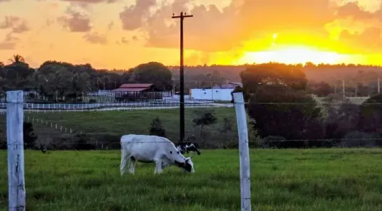 Fazenda/Sítio à venda, 4948m² no Ipioca, Maceió