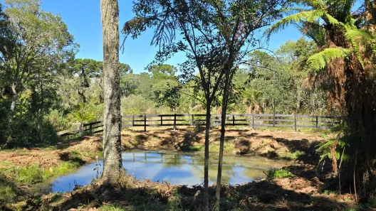 Fazenda/Sítio à venda, 20000m² no , Painel