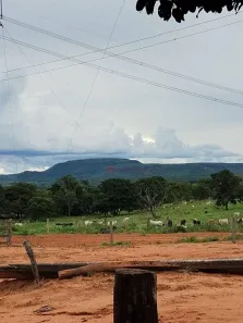 Fazenda/Sítio à venda, 1157m² no Centro, Alto Araguaia