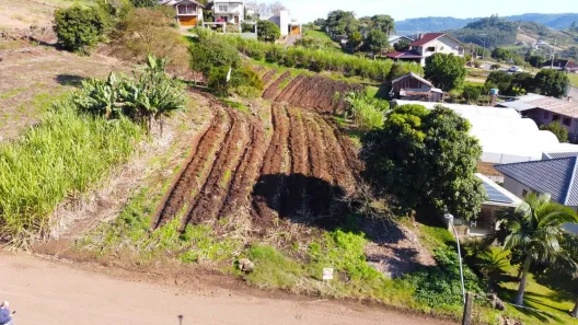 Lote/Terreno à venda, 560m² no Centro, Presidente Lucena
