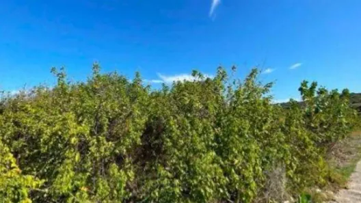 Lote/Terreno à venda, 4159m² no Praia do Futuro II, Fortaleza