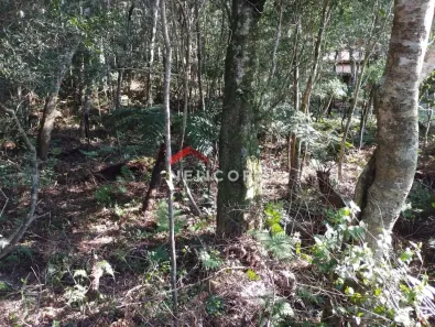 Lote/Terreno à venda, 4000m² no Centro, São Francisco de Paula