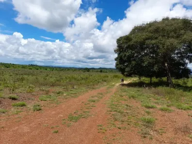 Fazenda/Sítio à venda, 625m² no Centro, Confresa