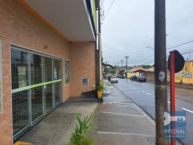 Casa com 2 Quartos à venda, 249m² no Parque Residencial Maria Stella Faga, São Carlos