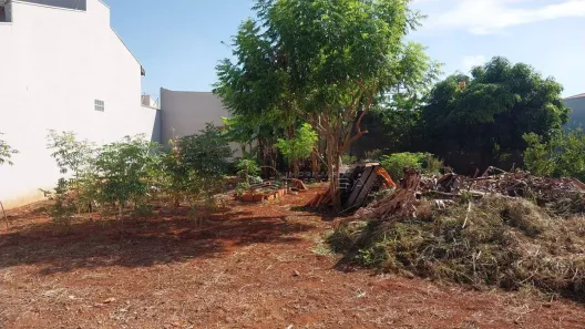 Lote/Terreno à venda, 250m² no Cardeal, Elias Fausto