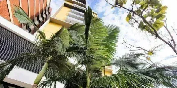 Apartamento com 1 Quarto para alugar, 51m² no Cambuí, Campinas