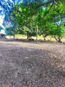 Fazenda/Sítio com 3 Quartos à venda, 20000m² no Área Rural de Planaltina, Brasília