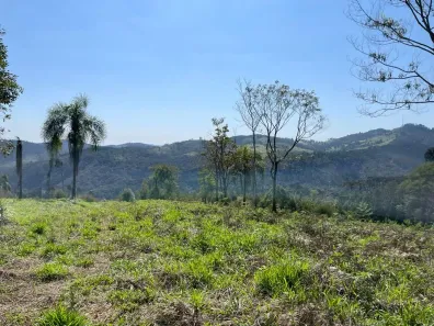 Fazenda/Sítio à venda, 48400m² no Centro, Campo Magro