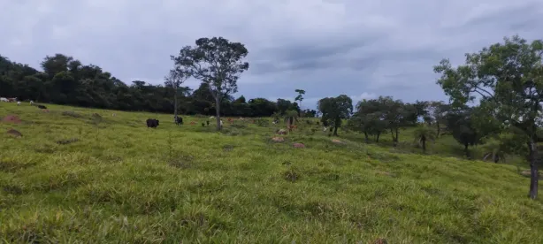 Fazenda/Sítio à venda, 200000m² no , Itaguara