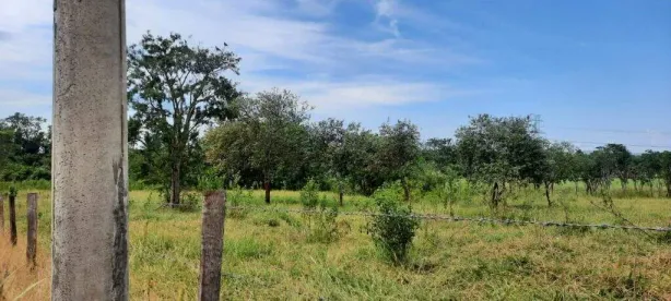 Lote/Terreno à venda, 44165m² no Campestre, Piracicaba