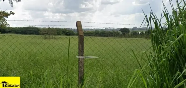 Lote/Terreno à venda, 10000m² no São Francisco, São José do Rio Preto