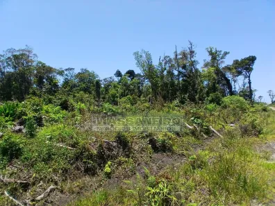 Lote/Terreno à venda, 296m² no Salinas, Balneário Barra do Sul