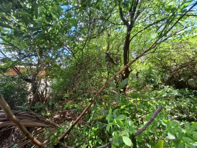 Lote/Terreno à venda, 438m² no Ribeirânia, Ribeirão Preto
