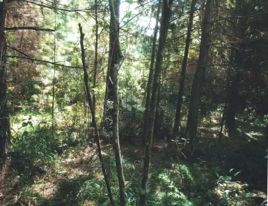 Lote/Terreno à venda, 55589m² no , Gramado