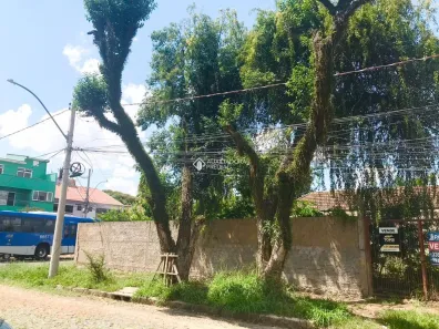 Lote/Terreno à venda, 300m² no Sarandi, Porto Alegre