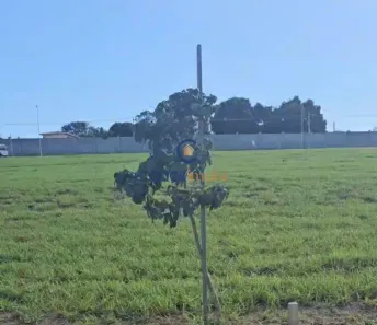 Lote/Terreno à venda, 365m² no Fazenda Pau D'Alho, Campinas