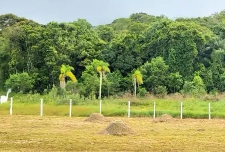 Lote/Terreno à venda, 450m² no Forquilhas, São José