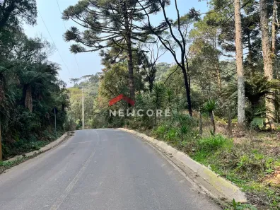 Fazenda/Sítio com 1 Quarto à venda, 2500m² no Centro, São Francisco de Paula