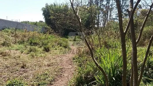 Lote/Terreno à venda, 1m² no Ipelândia, Suzano