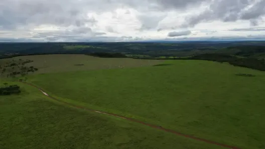 Fazenda/Sítio com 4 Quartos à venda, 12000m² no Centro, Luziânia